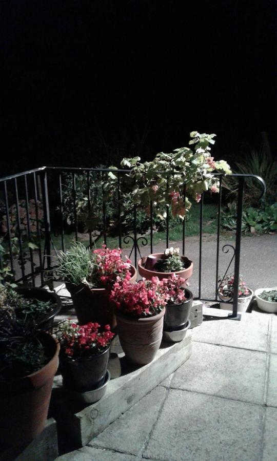 Woodpeckers Cottage B&B Pett Esterno foto