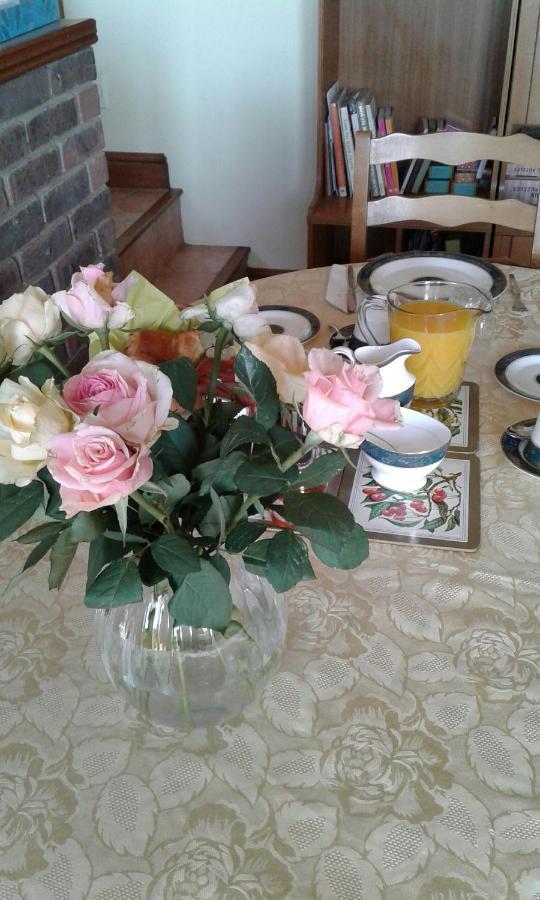 Woodpeckers Cottage B&B Pett Esterno foto