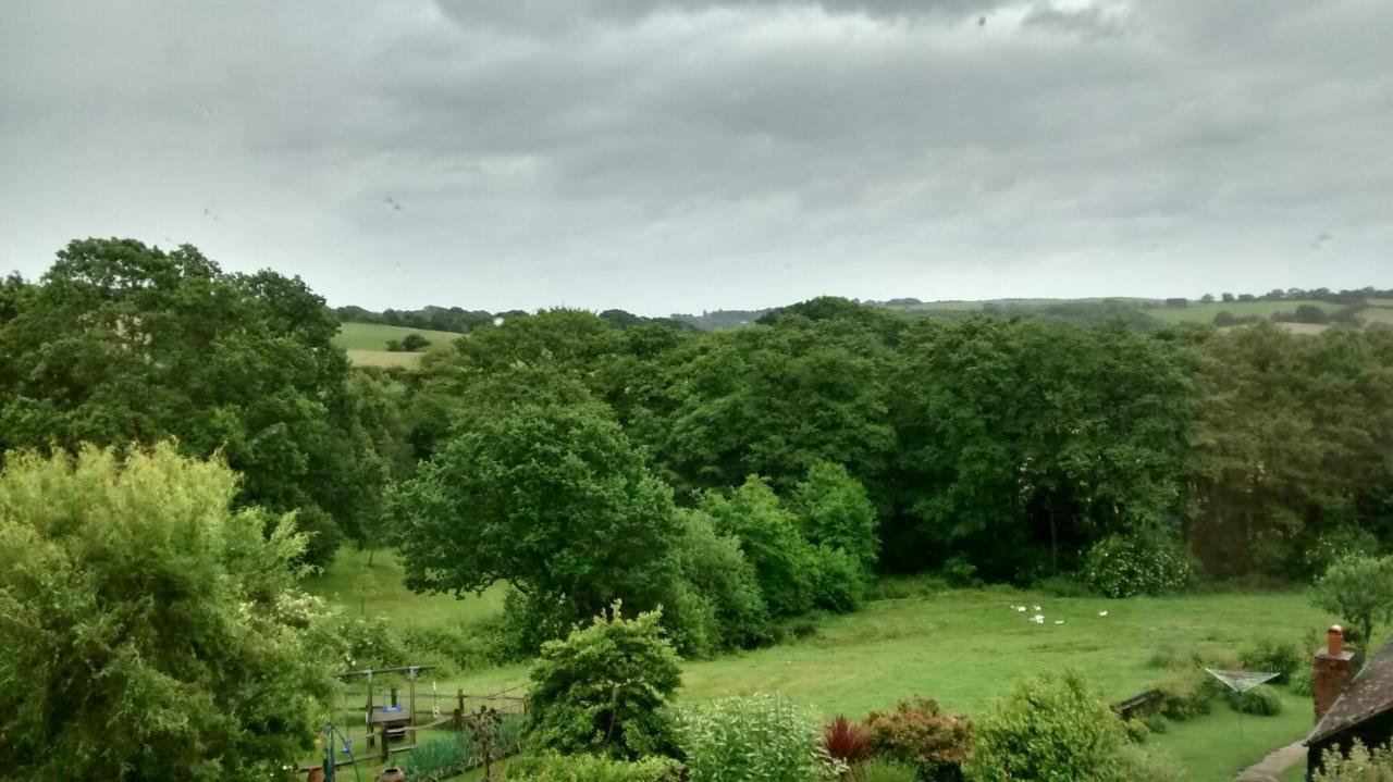Woodpeckers Cottage B&B Pett Esterno foto