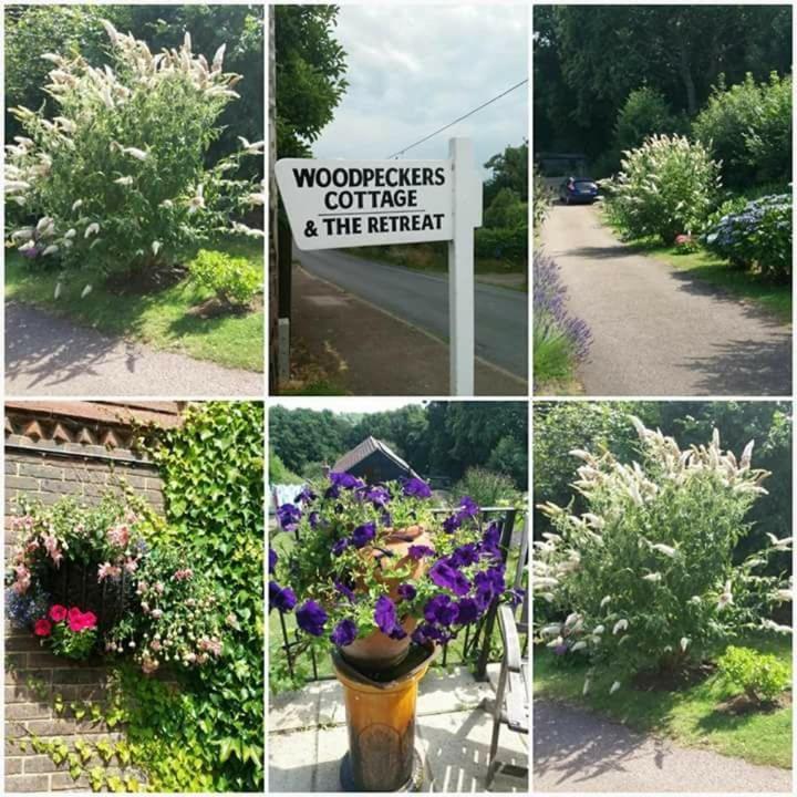 Woodpeckers Cottage B&B Pett Esterno foto